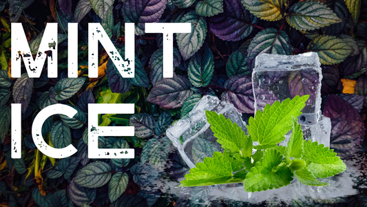 Mint Ice is a cool and refreshing vape that delivers a